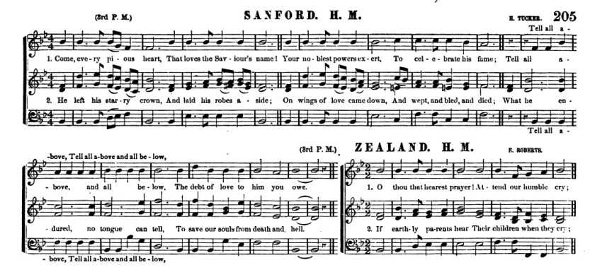 sanford, from the tonart